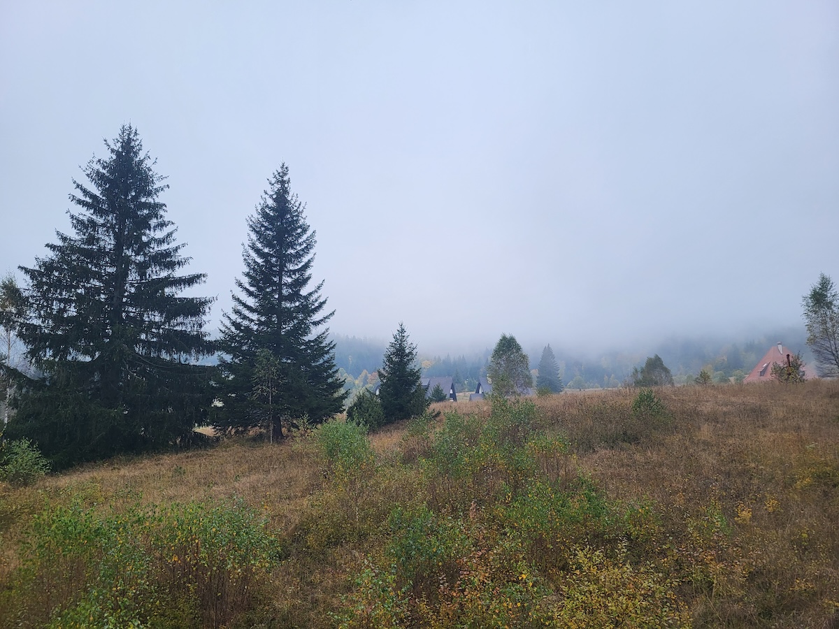 Mountain Top in Fog