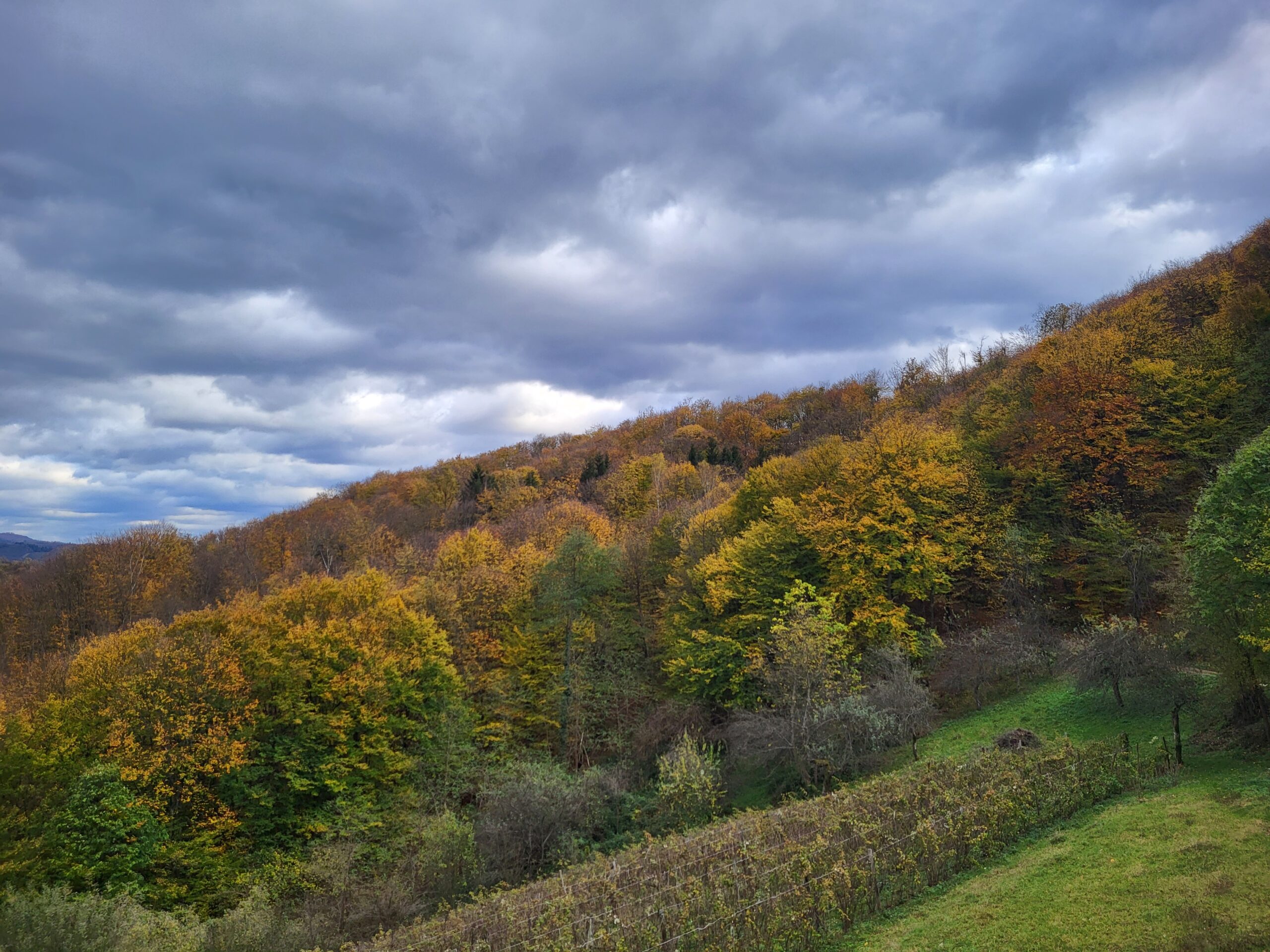 October Forest